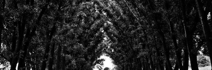 Aut beatae magni reiciendis sed atque beatae et.