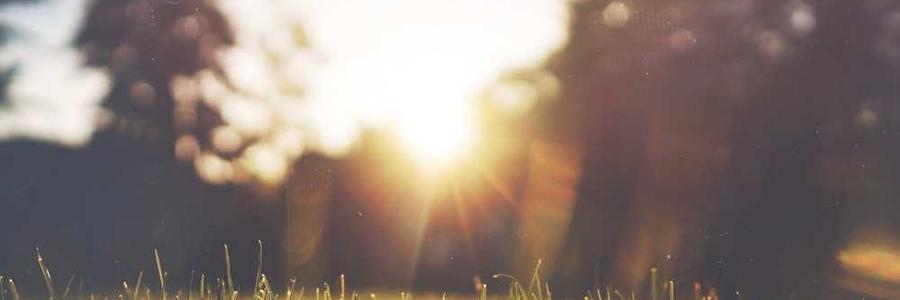 Ipsam culpa ab voluptate quod nulla.