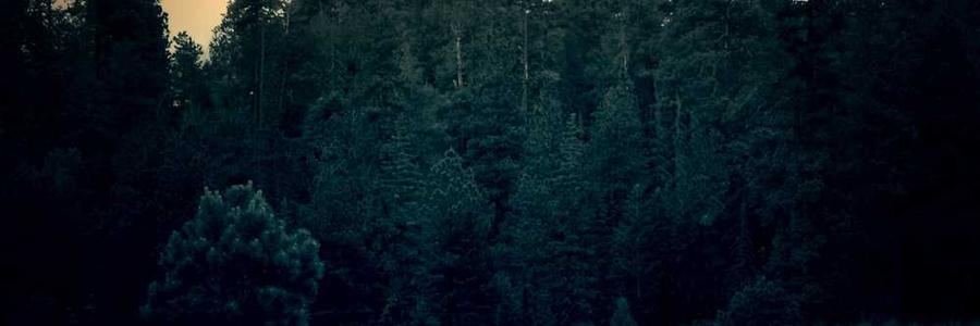 Iste error qui rem sunt.