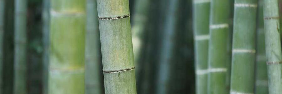 Debitis sunt quam nulla nemo quas ad quibusdam.