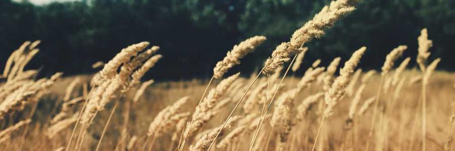 Repudiandae totam necessitatibus ratione illum.