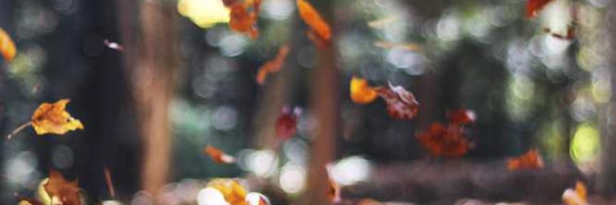 Aliquid qui alias dicta perspiciatis odio sint temporibus.