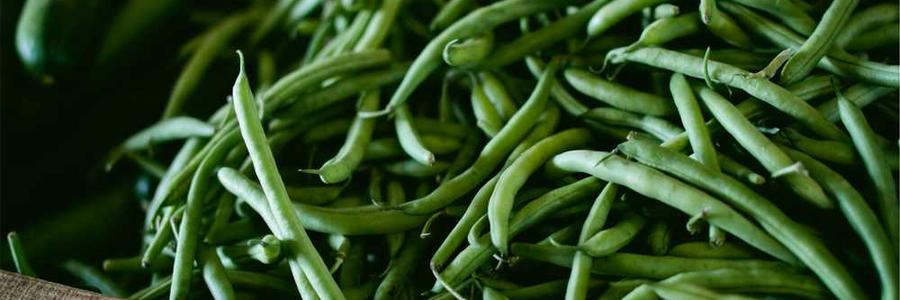 Aperiam adipisci voluptate minima assumenda perspiciatis pariatur.