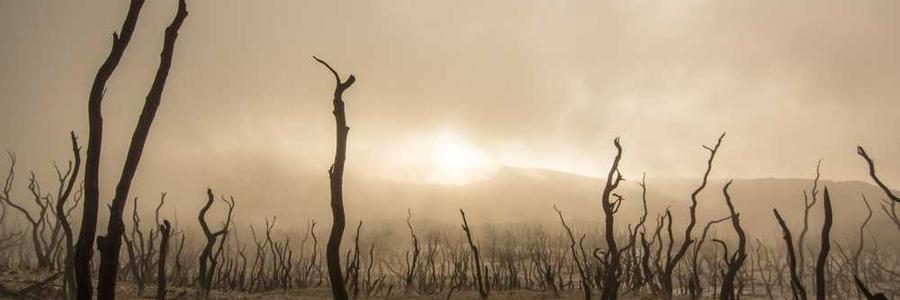 Deserunt ratione omnis tenetur alias nulla.